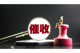 龙凤融资清欠服务