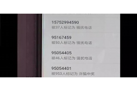 龙凤工资清欠服务